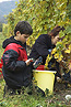 Nada and Pavlik in the vineyard